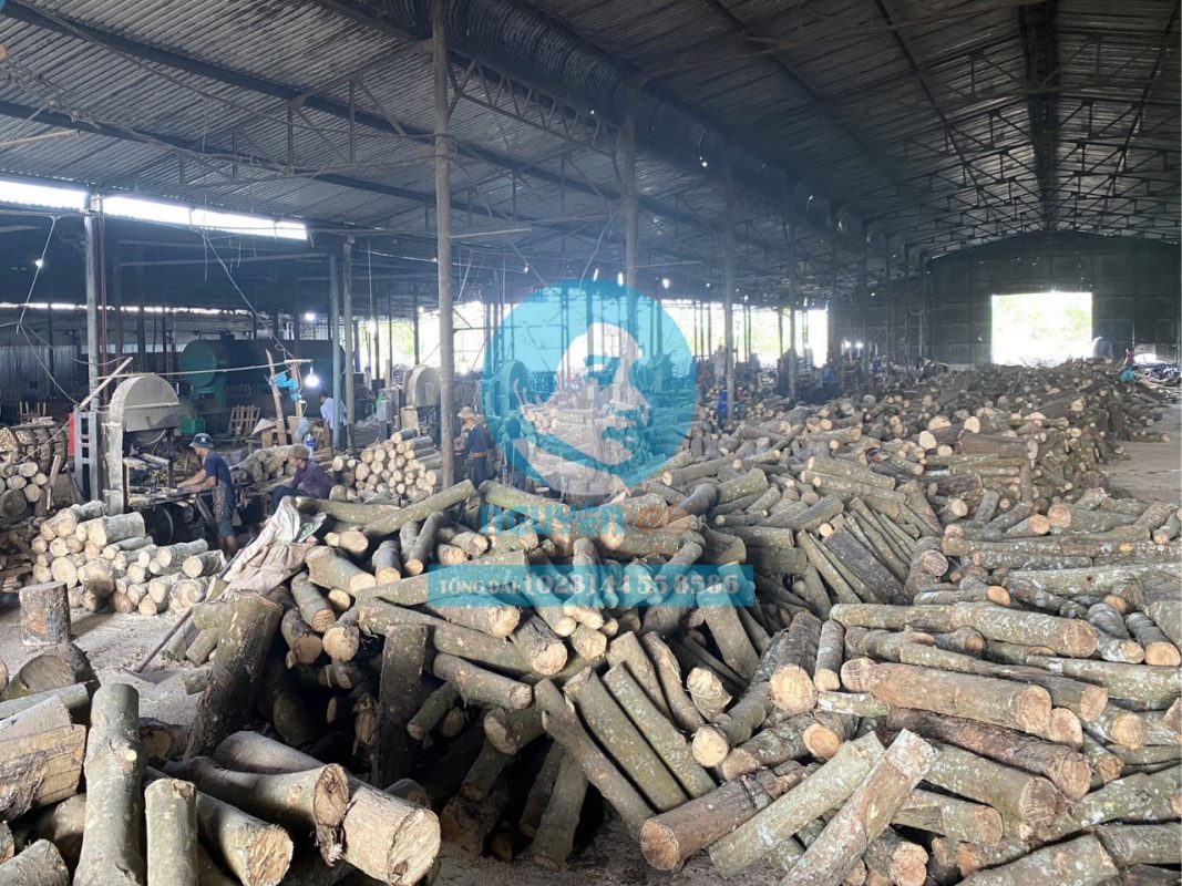 Sản xuất theo hình thức công nghiệp chế biến gỗ, số lượng lớn